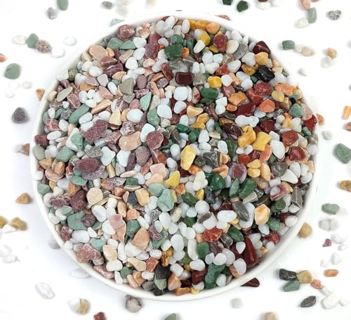 YISZM Succulent Cactus Gravel Pebbles