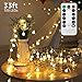 LED String Lights,33ft 100 Led Waterproof Ball Lights, Battery Powered Starry Fairy Globe String Lights with Remote Timer for Bedroom, Garden, Christmas Tree, Wedding, Party (Warm Light)