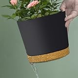 ZMTECH 16.5 cm Plant Pots with Drainage Holes and Detachable Saucer (Set of 2) view 2