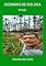 Livro DicionÁrio De Biologia