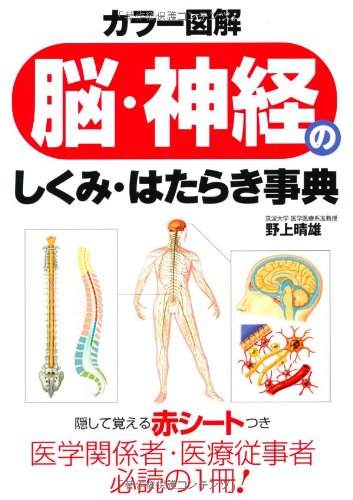 カラー図解 脳 神経のしくみ はたらき事典 野上 晴雄 本 通販 Amazon