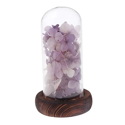 D Dolity Fleur Hortensia Séchée Sous Cloche En Verre Socle Bois Base Magnifique Décoration Cadeau Violet