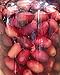 Parthenon Pitted Kalamata Olives in Brine with Red Wine Vinegar & Extra Virgin Olive Oil 52.91oz