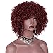 AISI HAIR Synthetic Afro Curly Hair Wigs Full Red Wig Short Curly Wigs for Women Kinky Curly(red)