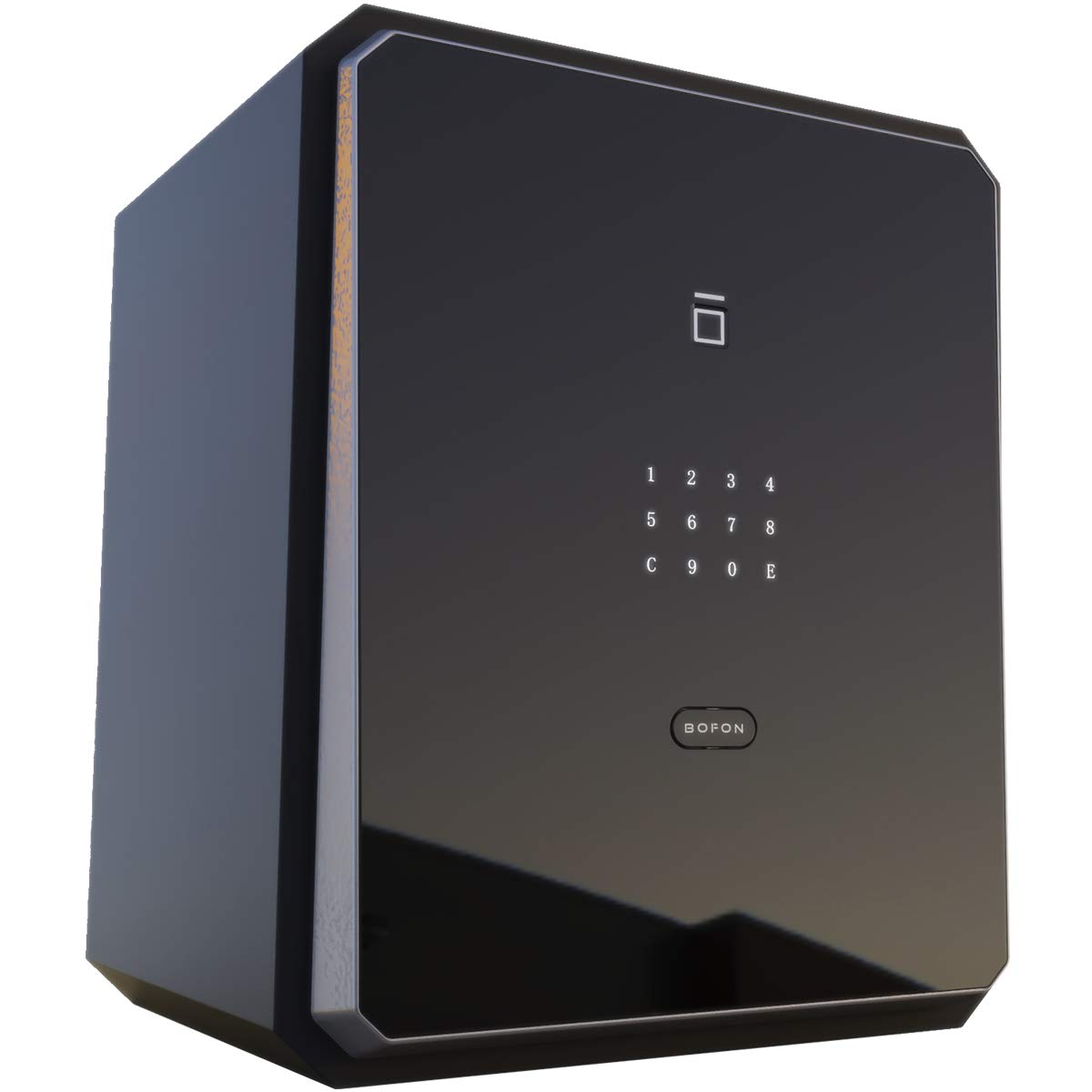 BOFON 1.45 Cubic Fingerprint Password Safe Box, Security Box with Key ...