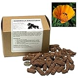 California Poppy Guerrilla Droppings - Seed Pellets for Guerrilla Gardening (Eschscholzia californica)