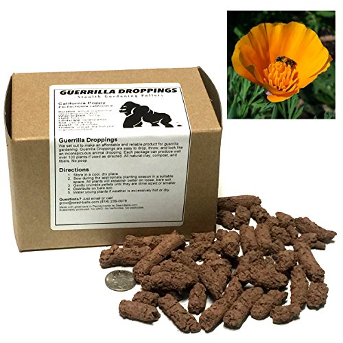 California Poppy Guerrilla Droppings - Seed Pellets for Guerrilla Gardening (Eschscholzia californica) California Poppy Guerrilla Droppings - Seed Pellets for Guerrilla Gardening (Eschscholzia californica)
