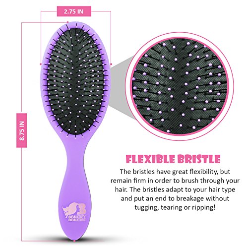 Beautify Beauties Hair Brush, Best Detangler Brush for All Hair Types