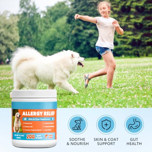 Allergy Relief Chews for Dogs Skin and Coat with Salmon Oil Omega 3 for Dog Shedding, Itchy Dry Skin, Seasonal Scratching & Paw Licking Comfort - Probiotics, Colostrum, for All Breeds & Size, 200 Ct