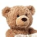 Gund Personalized Peek A Boo Teddy Bear (Brown Peek a Boo Plush Toy)