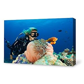 SIGNFORD Canvas Wall Art for Living Room,Bedroom Home...