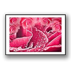 Framed Canvas Wall Art for Living Room, Bedroom Rose Flowers Canvas Prints for Modern Home Decoration Ready to Hang - 16"x24" inches