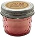 Paddywax Scented Candles Relish Collection Soy Wax Artisan Candle in Glass Jar with Lid, 3-Ounce, Salted Grapefruit