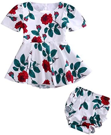 Baby Girls Dress Newborn Toddler Kids Floral Back Hole Dress + Baby Bloomers Outfits Sundress (White) (12-18 Months)