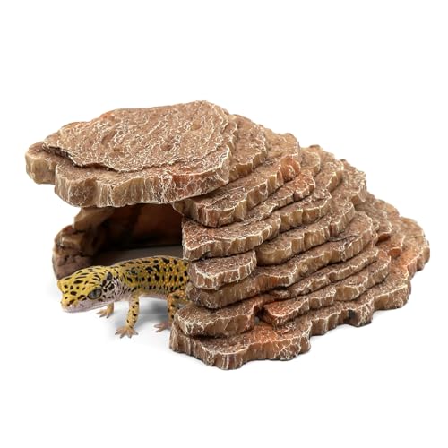 relaqcc Shale Scape Step Ledge