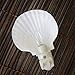 Tumbler Home Real Sea Shell Beach Night Light Real, Natural, Perfect for Beach Home Decor