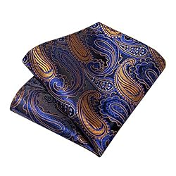 DiBanGu Silk Paisley Ties for Men Woven Necktie and