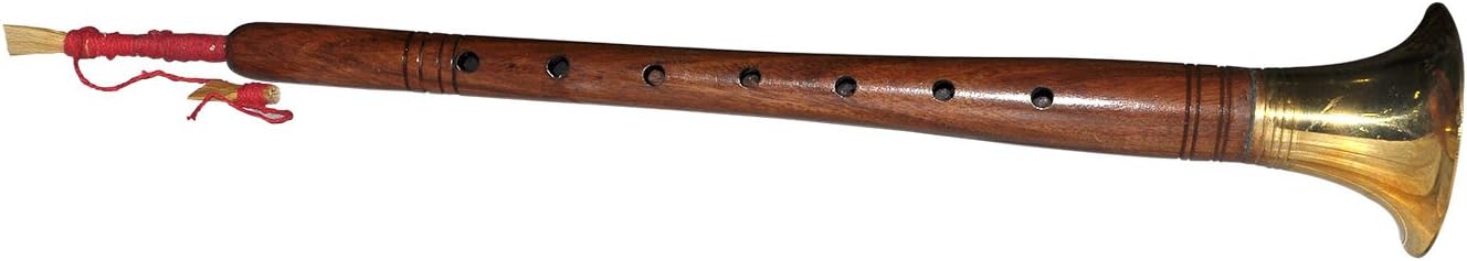 Dakshcraft hindou traditionnel Folk Instrument de musique Shehnai