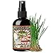 Poo-Pourri Gift Set,Poo-Pourri Before-You-Go Toilet Spray 4-Ounce,Bottle,Doody Free, Poo-Pourri Before-You-Go Toilet Spray 2-Ounce Bottle,Bass Ackwards,4ml Travel Size Disposable Spritzer,Party Pooper