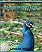 Peacock: Amazing Photos & Fun Facts Book About Peacock For Kids (Remember Me Series)