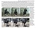 BioMechanical Riding and Dressage: A Rider's Atlas