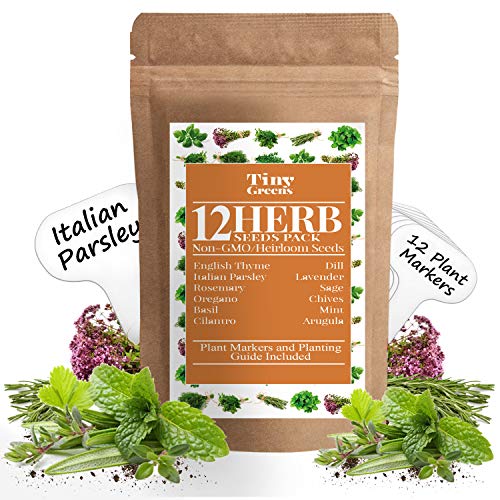 Herb Seeds Vault [12 Variety - 3600 Seeds]- Heirloom Non GMO - Herbs Seeds for Planting for Indoor and Outdoor | Herb Garden Seed Pack | Mint, Chives, Lavender, Cilantro, Parsley, Basil, Rosemary