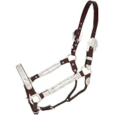 Royal King Silver Ferrules Show Halter
