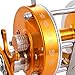 Isafish Baitcasting Reels Conventional Inshore and Offshore Saltwater and Freshwater Fishing Reels Baitcaster Golden Color