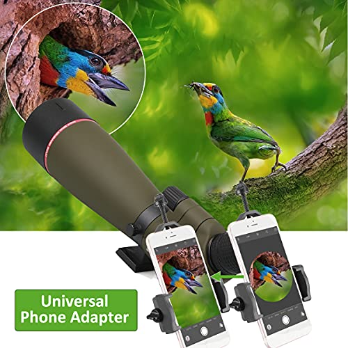 Svbony SV13 20-60x80 Bird Watching Scope with Smartphone Adapter, HD FMC Waterproof Spotting Scope with Carry Bag, Porro Prism Spotting Scope for Sports Shooters Wildlife Scenery