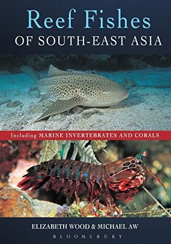 その他 Fishes of the Great BarrierReef&CoralSea Fishes of the Great Barrier Reef and Coral Sea: Randall, John E