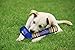 NHL New York Rangers Stick Toy for Dogs & Cats. Play Hockey with Your Pet with This Licensed Dog Tough Toy Reward!