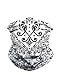 iHeartRaves Paisley Seamless Face Mask Bandanas for Dust, Music Festivals, Raves, Riding, Outdoors