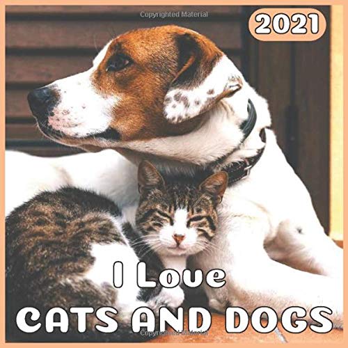 I Love Cats And Dogs 21 Wall Calendar Awesome Calendar Gift For Cat Dog Lovers Wall Calendar 21 Pet Amazon Com Books