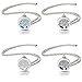 BESTTERN Aromatherapy Essential Oil Diffuser Necklace/316L Surgical Steel Locket With Two Chains and 8Pads