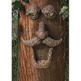 Fun Express Tree Face Bird Feeder