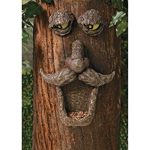 Amazon Com Fun Express Tree Face Bird Feeder Wild Bird Feeders