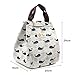 Victing Cute Reusable Insulated Lunch Bag Tote Soft Cooler Carry Bag for Travel and Picnic (Whale)