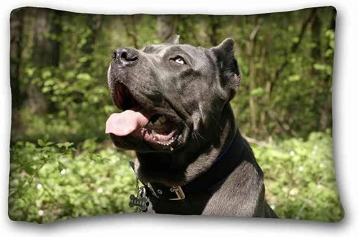 Download Neugierigkeit For Free Neugierigkeit