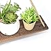 Boho Wall Hanging Shelf - Wood Hanging Shelves for Wall - Farmhouse Rope Shelves for Bedroom Living Room Bathroom - Rustic Wood Shelves - Hanging Plant Shelf - Triangle Floating Shelf (Triangle Mount)