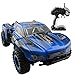 Fistone RC Car Rock Crawler High Speed Racing Cars Buggy 2.4G Remote Control Monster Truck Off-Road Vehicle Hobby Electronic Game Kids Toys Model (Blue)