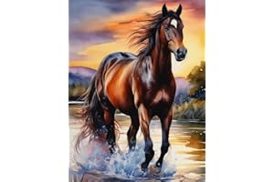 CLENDO 5D Diamond Painting Kits for Adults, DIY Horse Diamond Art Kits for Beginners, Round Full Drill Diamond Painting for Home Wall Decoration Present 12×16inch, Animal