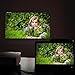 120 Inch 16:9 Portable Projector Screen High Contrast Collapsible PVC HD 4K Design Hanging Hole Grommets Front Projection Home Indoor Outdoor Movie Match Party