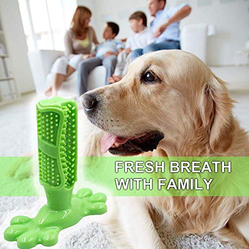 AomeTech Dog Toothbrush Dental Care Brushing Stick Effective Doggy Teeth Cleaning Massager Nontoxic Natural Rubber Bite Resistant Chew Toys Finger Toothbrush for Dogs Pets (M, Green)