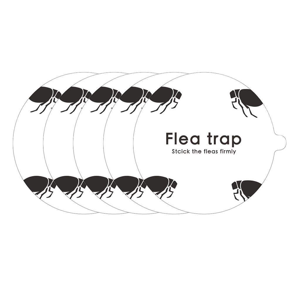 5 Pcs Flea Trap Stickers Flea Traps for Home Flea Trap Refill Flea Trap Sticky Sticker Strong Sticky Living Room Bedroom