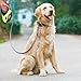 LATITOP Heavy Duty Retractable Dog Leash Adjustable With Break And Lock Button- 16 Ft Sturdy Nylon Ribbon, Tangle Free, Suitable For Small, Medium And Large Dogs Up To 110 Lbs