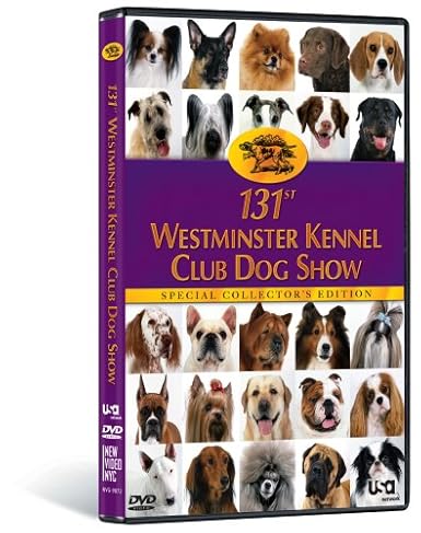westminster kennel club dog show