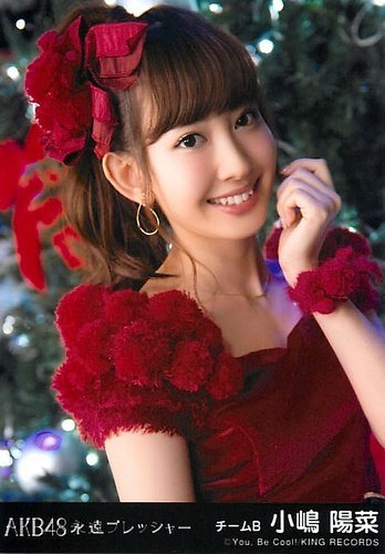 Akb48 公式生写真 永遠プレッシャー 劇場盤 とっておきクリスマス Ver 小嶋陽菜 の買取価格 相場 高価買取なら買取一括比較のウリドキ