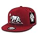 WHANG California Republic Snapbacks, Cardinal
