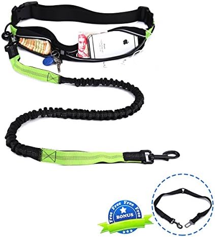 Retractable Hands Free Dog Leash, PESTORY Dual-handle Bungee Reflective Stitching Dog Training Leash with Smartphone Pouch, Bonus Dog Car Harness, Shock Absorbing for up to 150 lbs Large Dogs (Green)