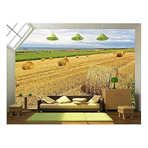 Straw Bales Near The Sea in Normandy, France - Removable Wall Mural | Self-Adhesive Large Wallpaper - 66x96 inches